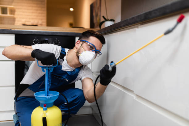 Best Commercial Pest Control Services  in Vinco, PA
