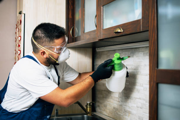 Best Residential Pest Control  in Vinco, PA