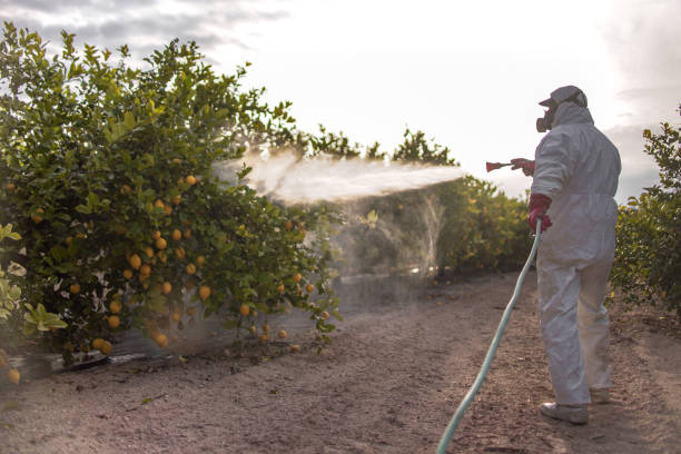Best Wasp Removal Services  in Vinco, PA