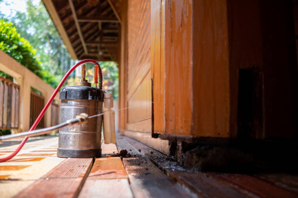 Best Local Pest Control Services  in Vinco, PA